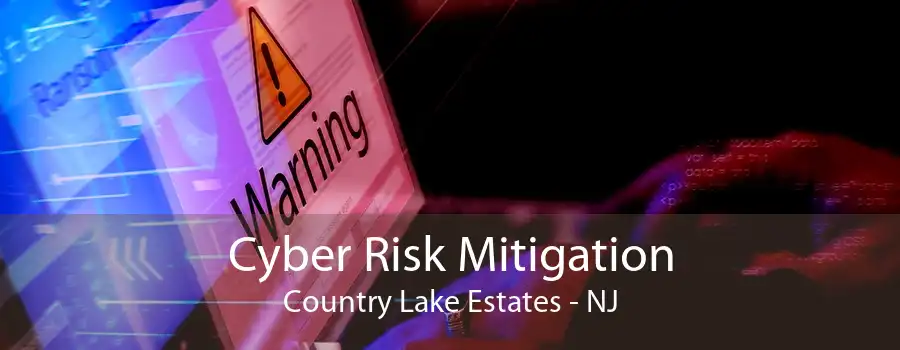 Cyber Risk Mitigation Country Lake Estates - NJ