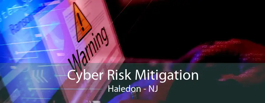 Cyber Risk Mitigation Haledon - NJ