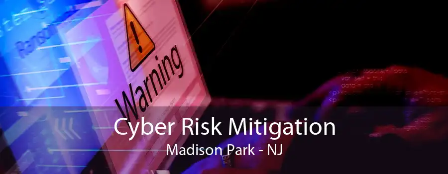 Cyber Risk Mitigation Madison Park - NJ