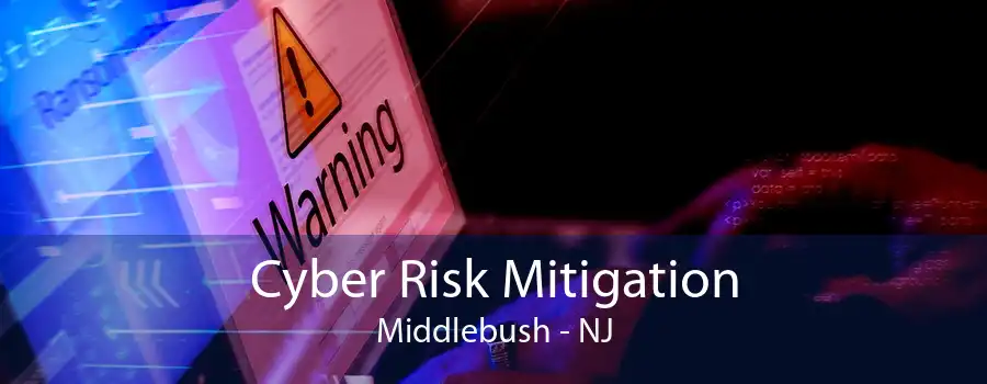 Cyber Risk Mitigation Middlebush - NJ