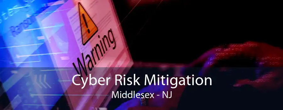 Cyber Risk Mitigation Middlesex - NJ