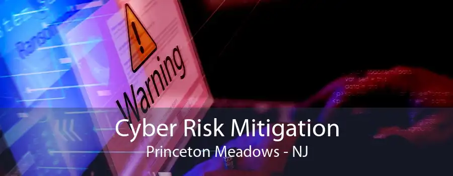 Cyber Risk Mitigation Princeton Meadows - NJ