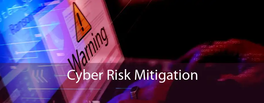 Cyber Risk Mitigation 