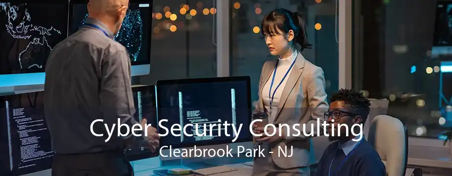 Cyber Security Consulting Clearbrook Park - NJ