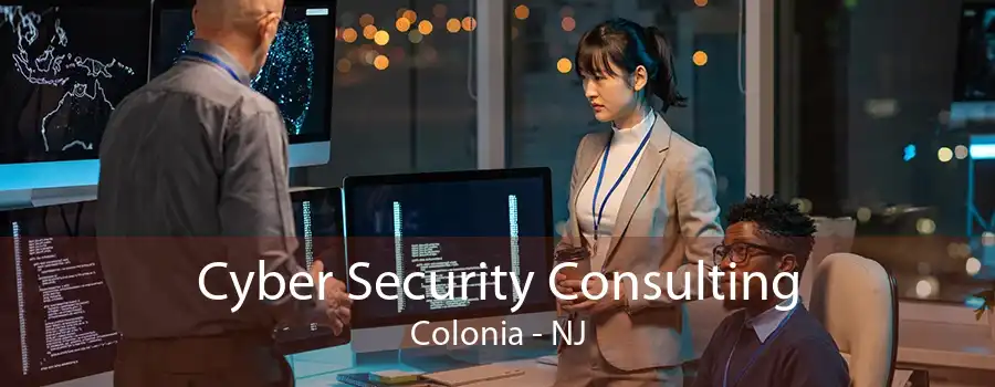 Cyber Security Consulting Colonia - NJ