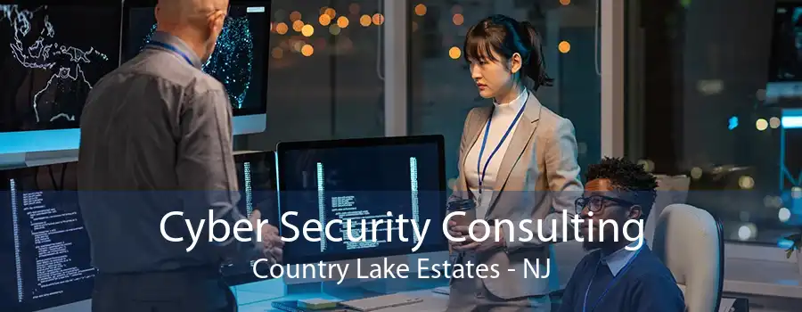 Cyber Security Consulting Country Lake Estates - NJ