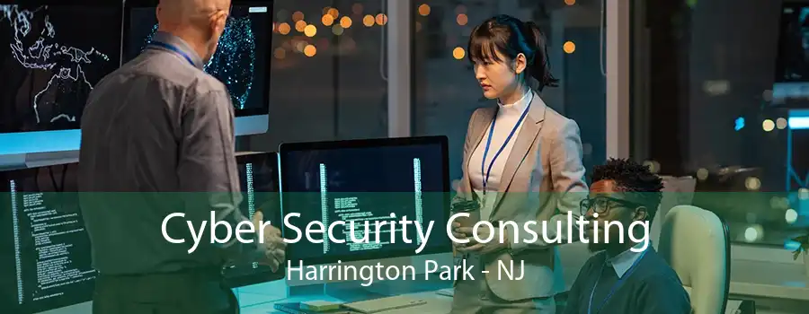 Cyber Security Consulting Harrington Park - NJ