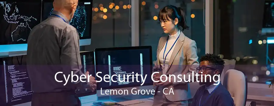 Cyber Security Consulting Lemon Grove - CA