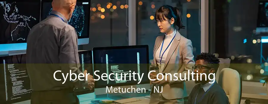 Cyber Security Consulting Metuchen - NJ