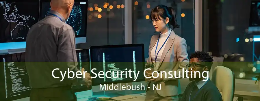Cyber Security Consulting Middlebush - NJ