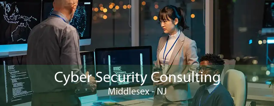 Cyber Security Consulting Middlesex - NJ