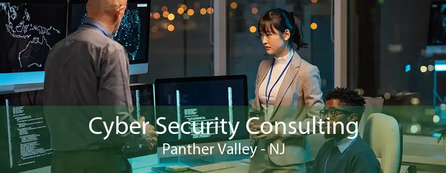 Cyber Security Consulting Panther Valley - NJ