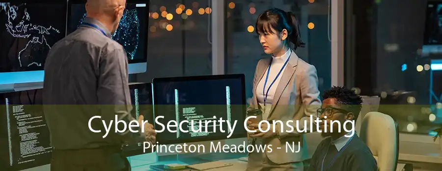 Cyber Security Consulting Princeton Meadows - NJ