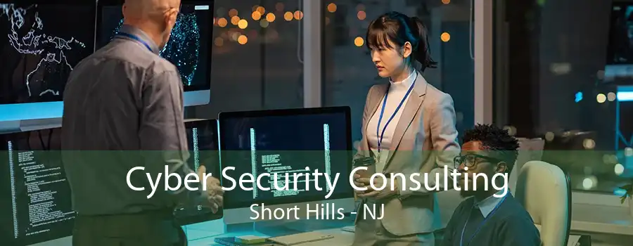 Cyber Security Consulting Short Hills - NJ
