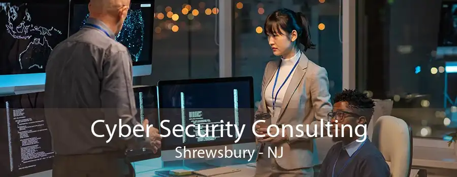 Cyber Security Consulting Shrewsbury - NJ