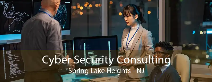 Cyber Security Consulting Spring Lake Heights - NJ