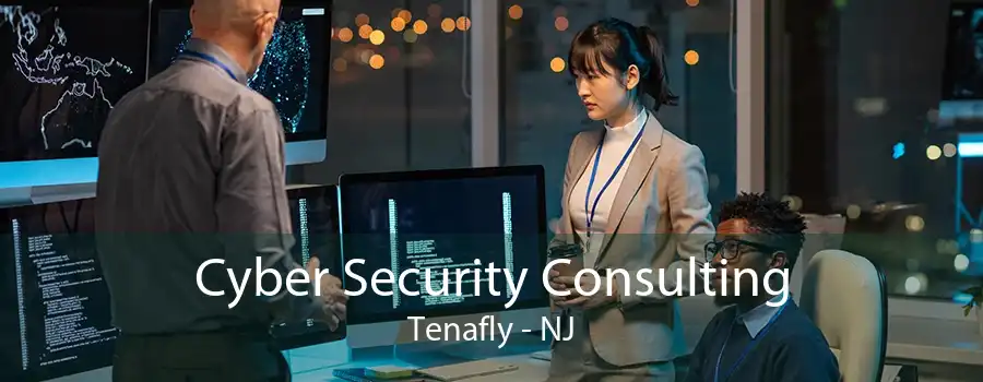 Cyber Security Consulting Tenafly - NJ