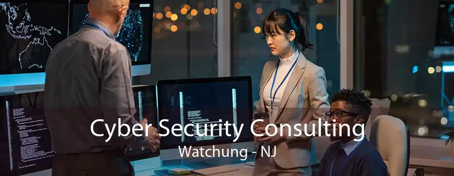 Cyber Security Consulting Watchung - NJ