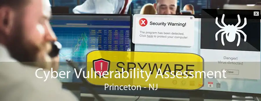 Cyber Vulnerability Assessment Princeton - NJ