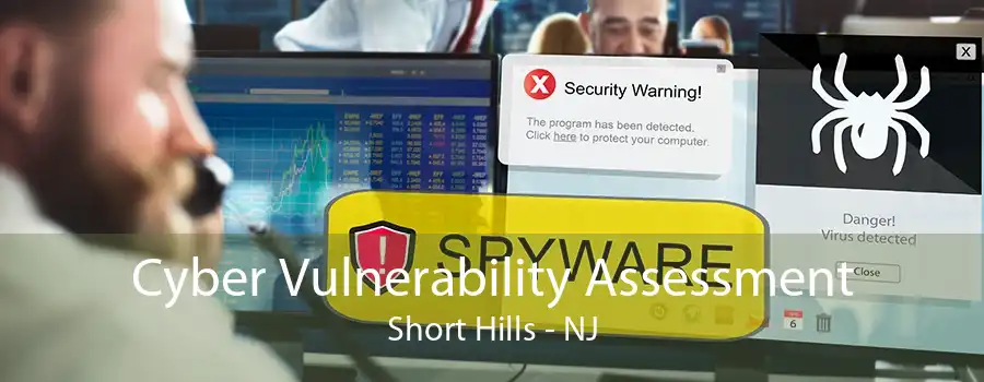 Cyber Vulnerability Assessment Short Hills - NJ