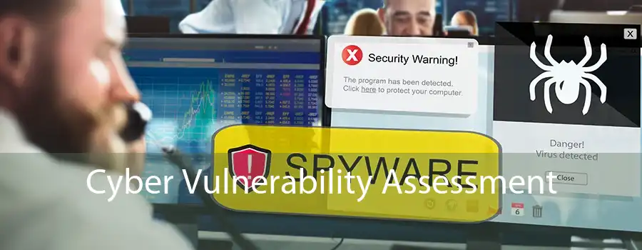 Cyber Vulnerability Assessment 