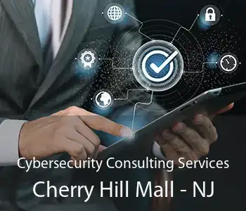 Cybersecurity Consulting Services Cherry Hill Mall - NJ