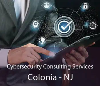 Cybersecurity Consulting Services Colonia - NJ