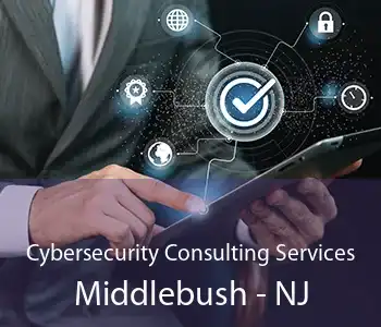 Cybersecurity Consulting Services Middlebush - NJ