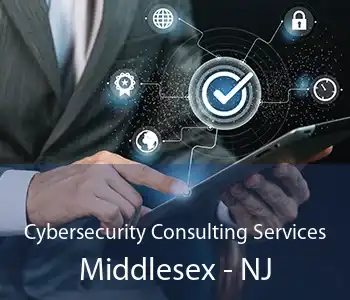 Cybersecurity Consulting Services Middlesex - NJ