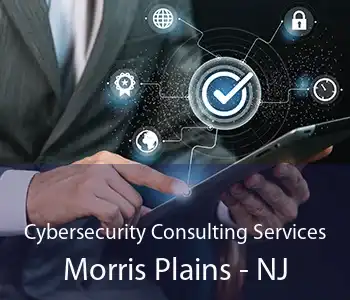 Cybersecurity Consulting Services Morris Plains - NJ