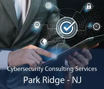 Cybersecurity Consulting Services Park Ridge - NJ