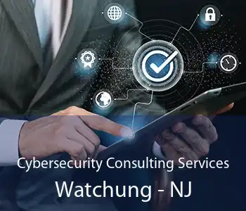 Cybersecurity Consulting Services Watchung - NJ