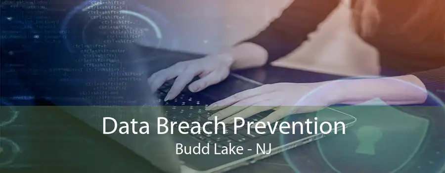 Data Breach Prevention Budd Lake - NJ