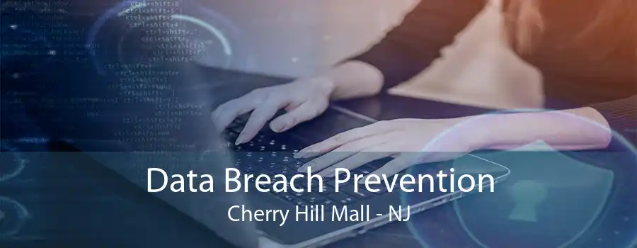 Data Breach Prevention Cherry Hill Mall - NJ