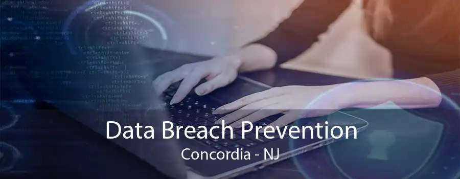 Data Breach Prevention Concordia - NJ