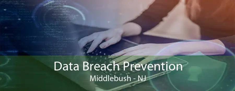 Data Breach Prevention Middlebush - NJ