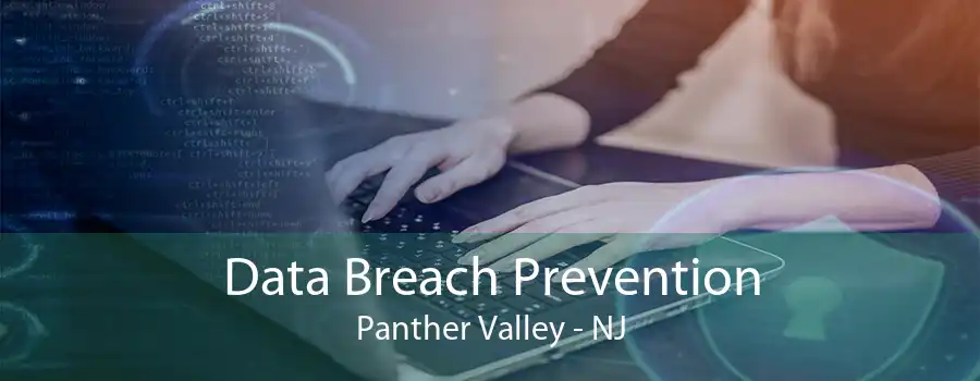 Data Breach Prevention Panther Valley - NJ