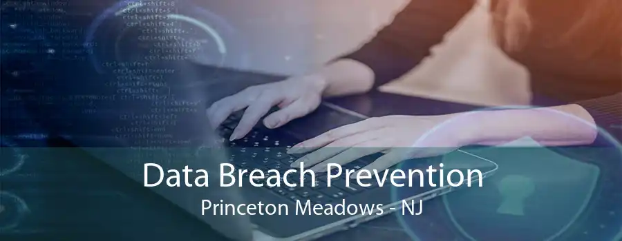 Data Breach Prevention Princeton Meadows - NJ