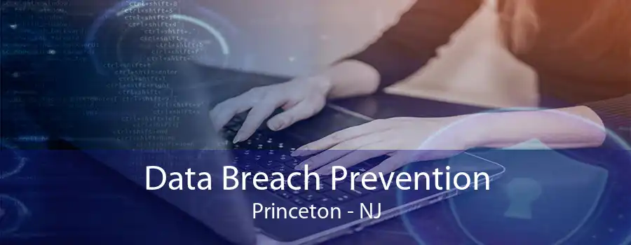 Data Breach Prevention Princeton - NJ