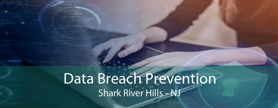 Data Breach Prevention Shark River Hills - NJ