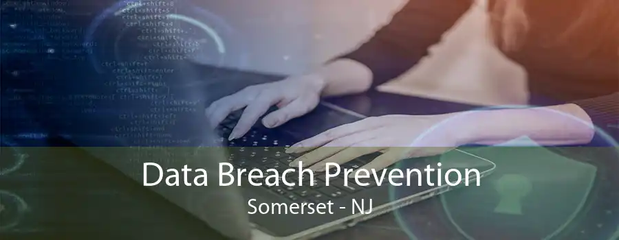 Data Breach Prevention Somerset - NJ