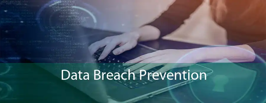 Data Breach Prevention 