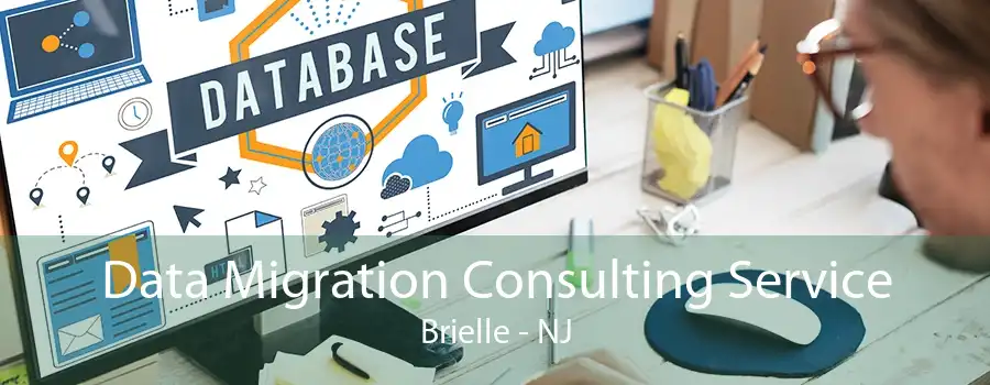Data Migration Consulting Service Brielle - NJ