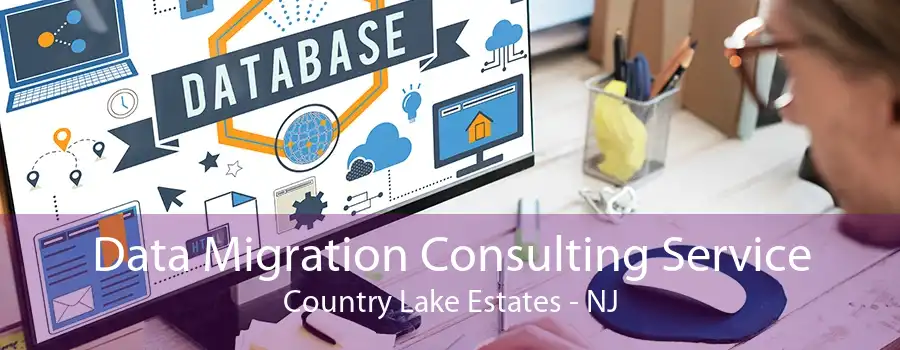 Data Migration Consulting Service Country Lake Estates - NJ