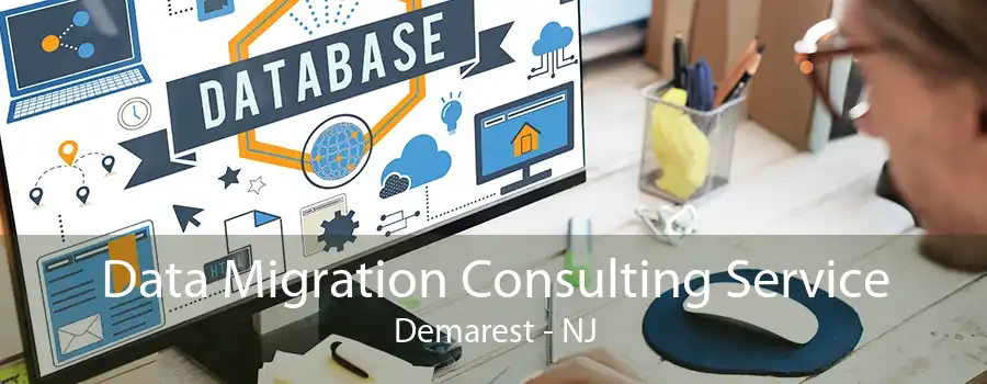 Data Migration Consulting Service Demarest - NJ