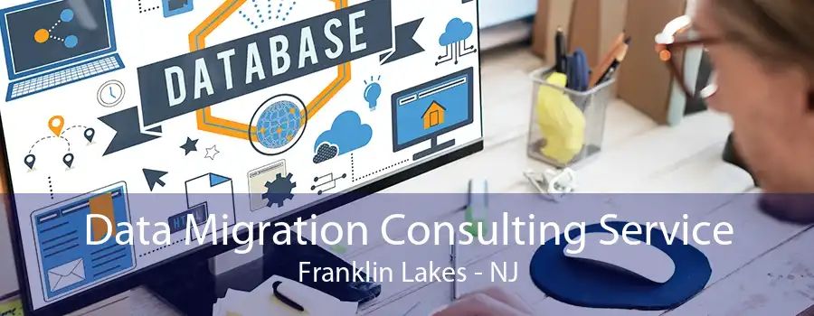 Data Migration Consulting Service Franklin Lakes - NJ