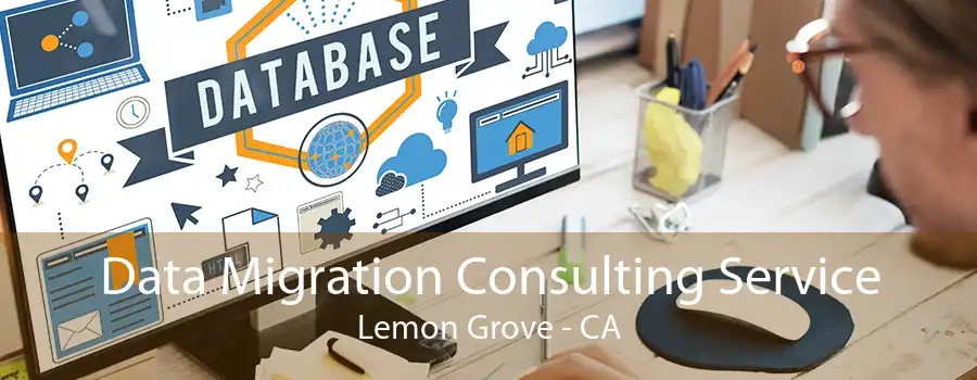 Data Migration Consulting Service Lemon Grove - CA