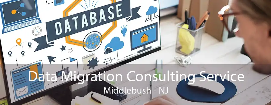 Data Migration Consulting Service Middlebush - NJ