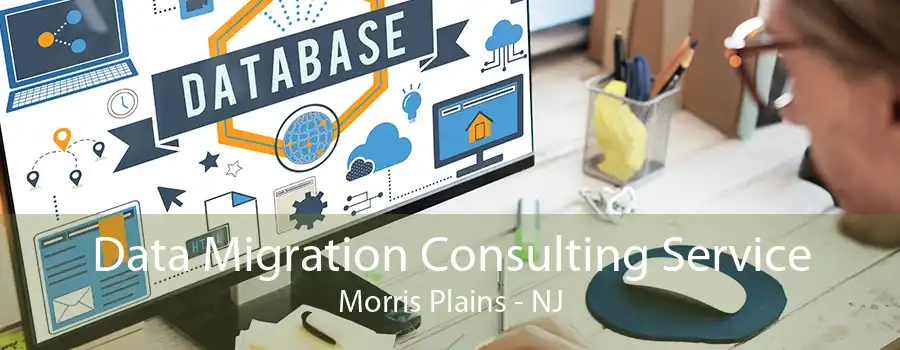 Data Migration Consulting Service Morris Plains - NJ