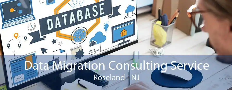 Data Migration Consulting Service Roseland - NJ
